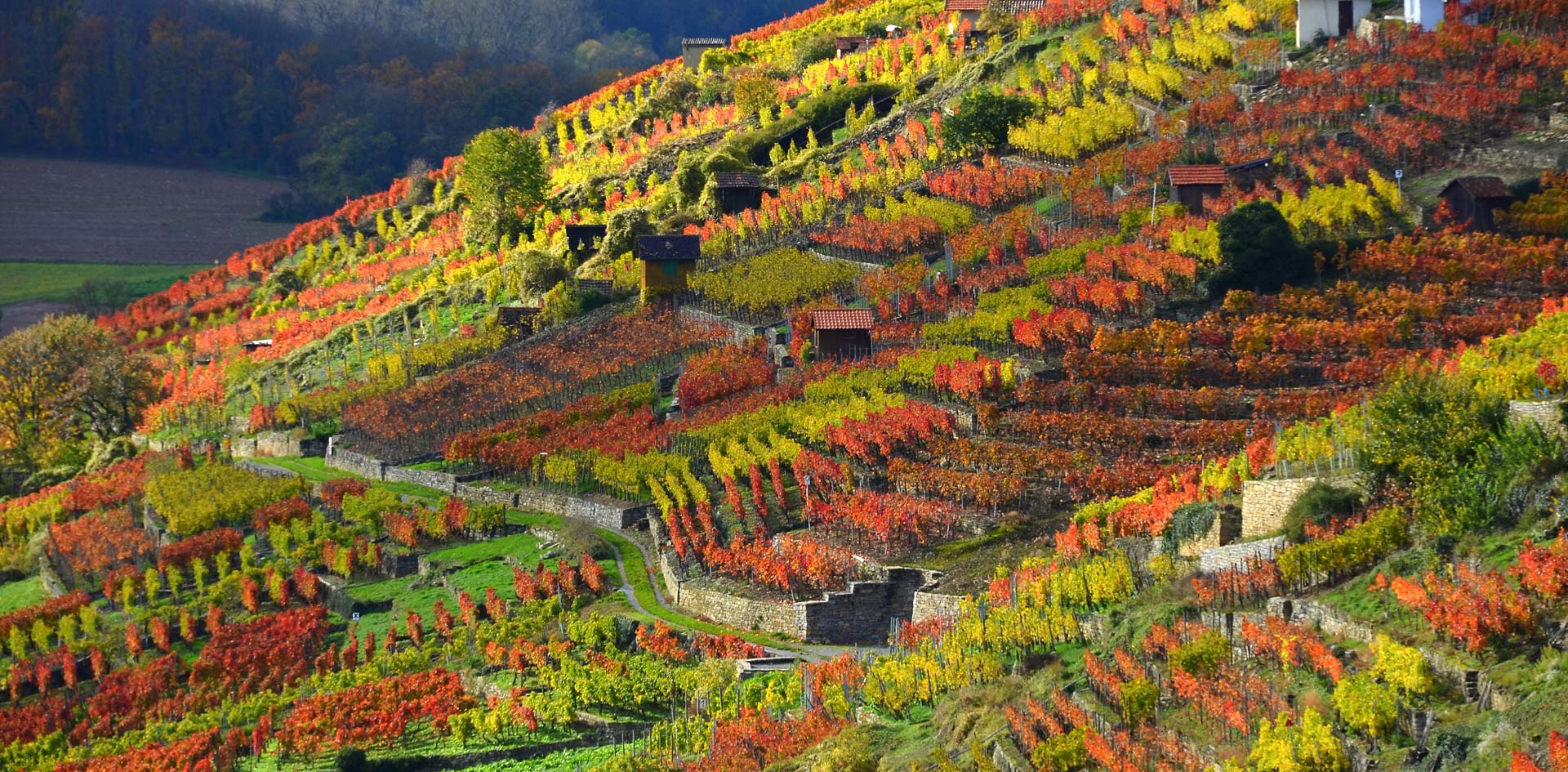 Weingut Lembergerland