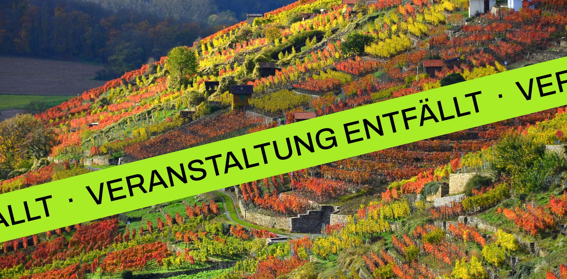 Weingut Lembergerland
